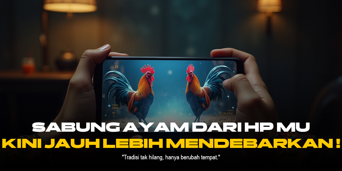 Mengenal Ayam Bangkok: Raja Semua Sabung Ayam Online di SV388