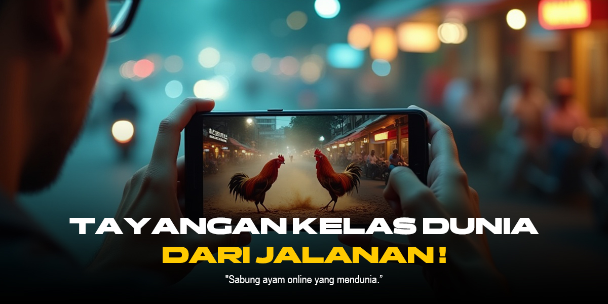 Mengenal Jenis-Jenis Ayam Sabung yang Paling Populer di SV388